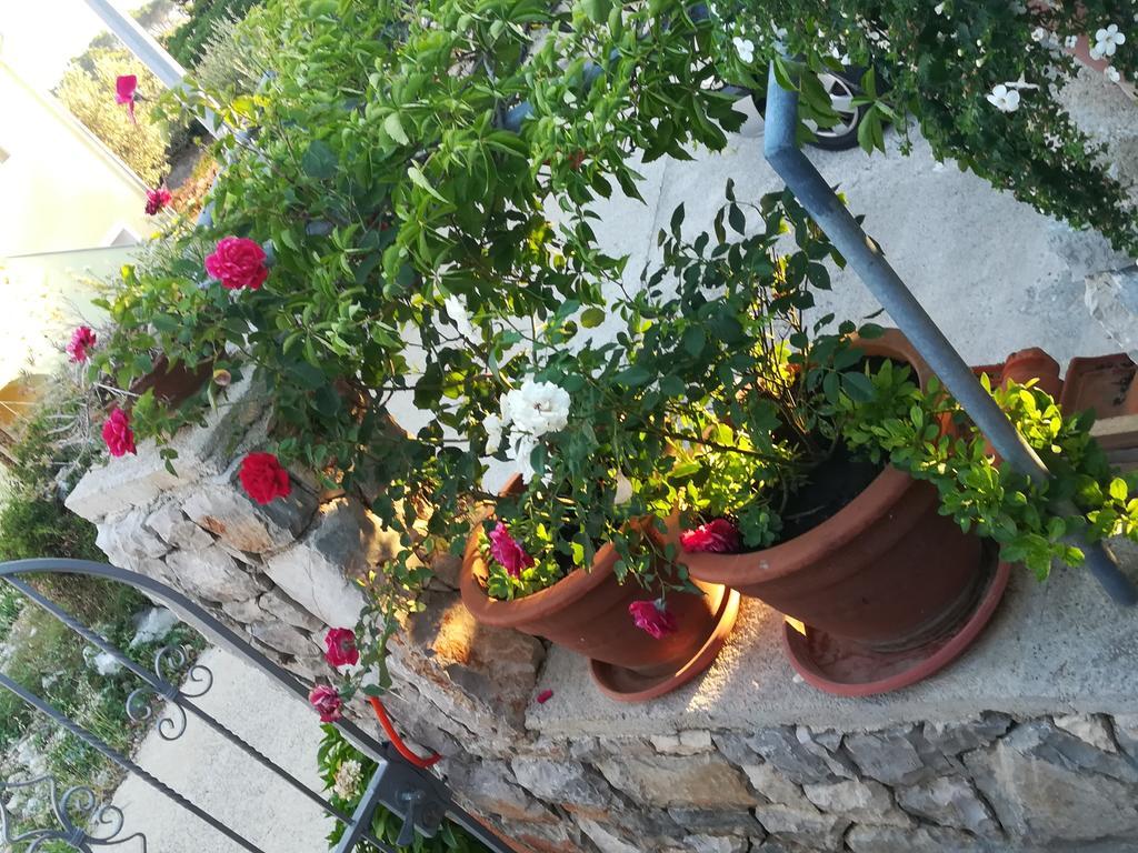 וולי לוסיניי Apartment Neno - Terrace & Parking מראה חיצוני תמונה