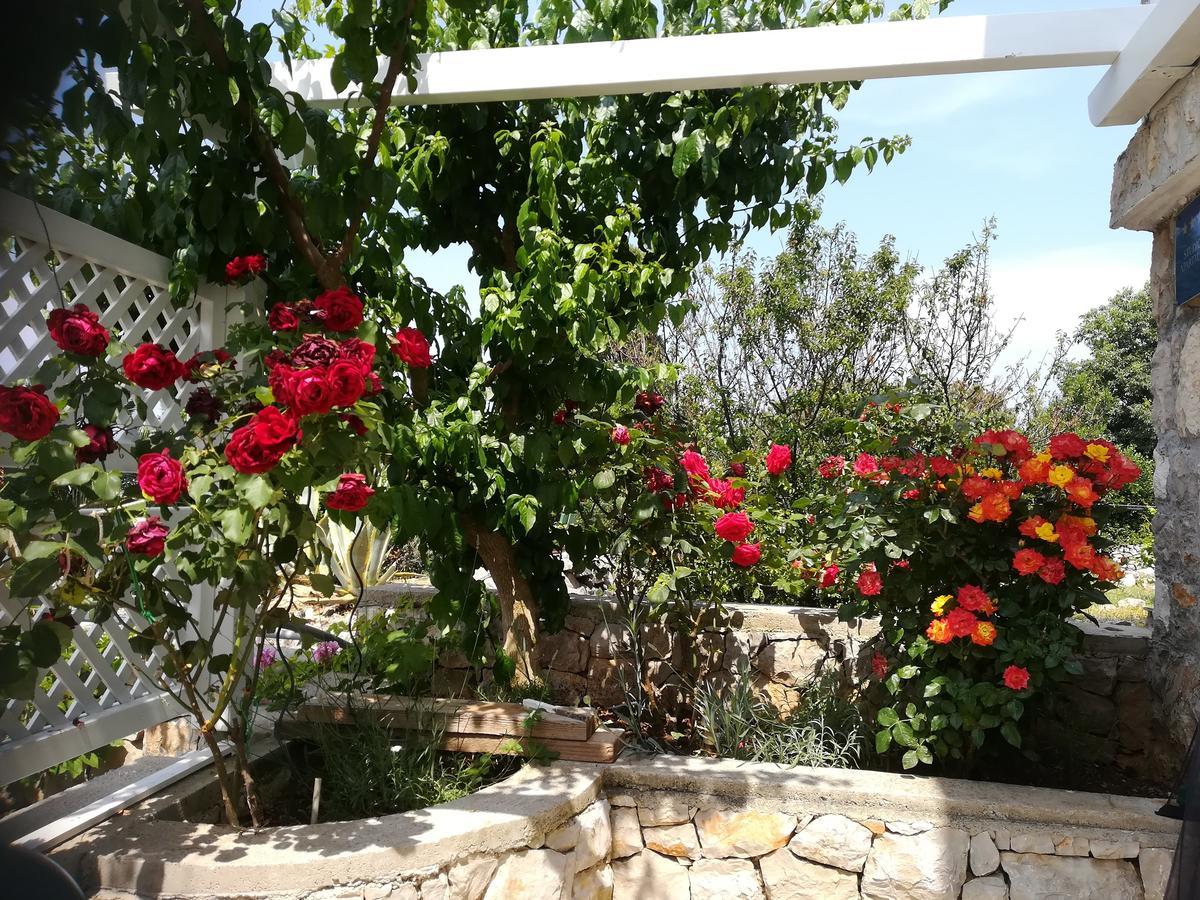וולי לוסיניי Apartment Neno - Terrace & Parking מראה חיצוני תמונה