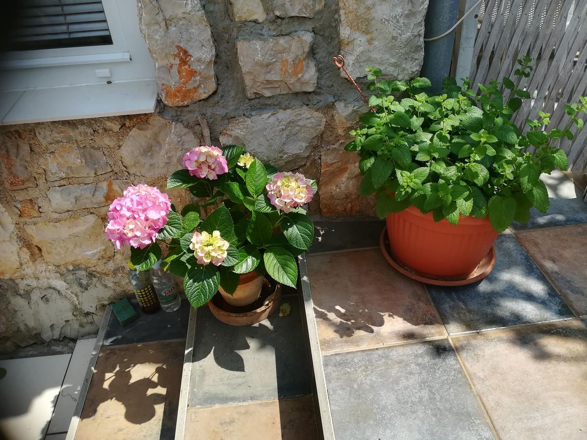 וולי לוסיניי Apartment Neno - Terrace & Parking מראה חיצוני תמונה