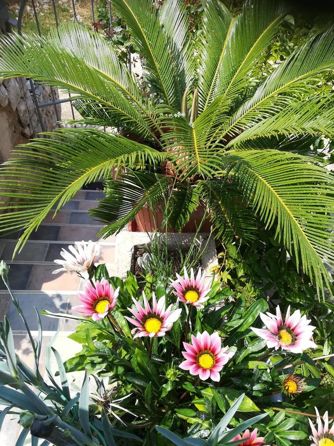 וולי לוסיניי Apartment Neno - Terrace & Parking מראה חיצוני תמונה
